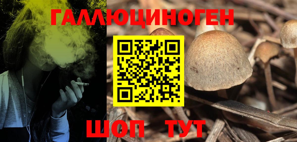 Обь  Галлюциногенные грибы Psilocybine cubensis  Псилоцибиновые грибы GOLDEN TEACHER  Вход с VPN 